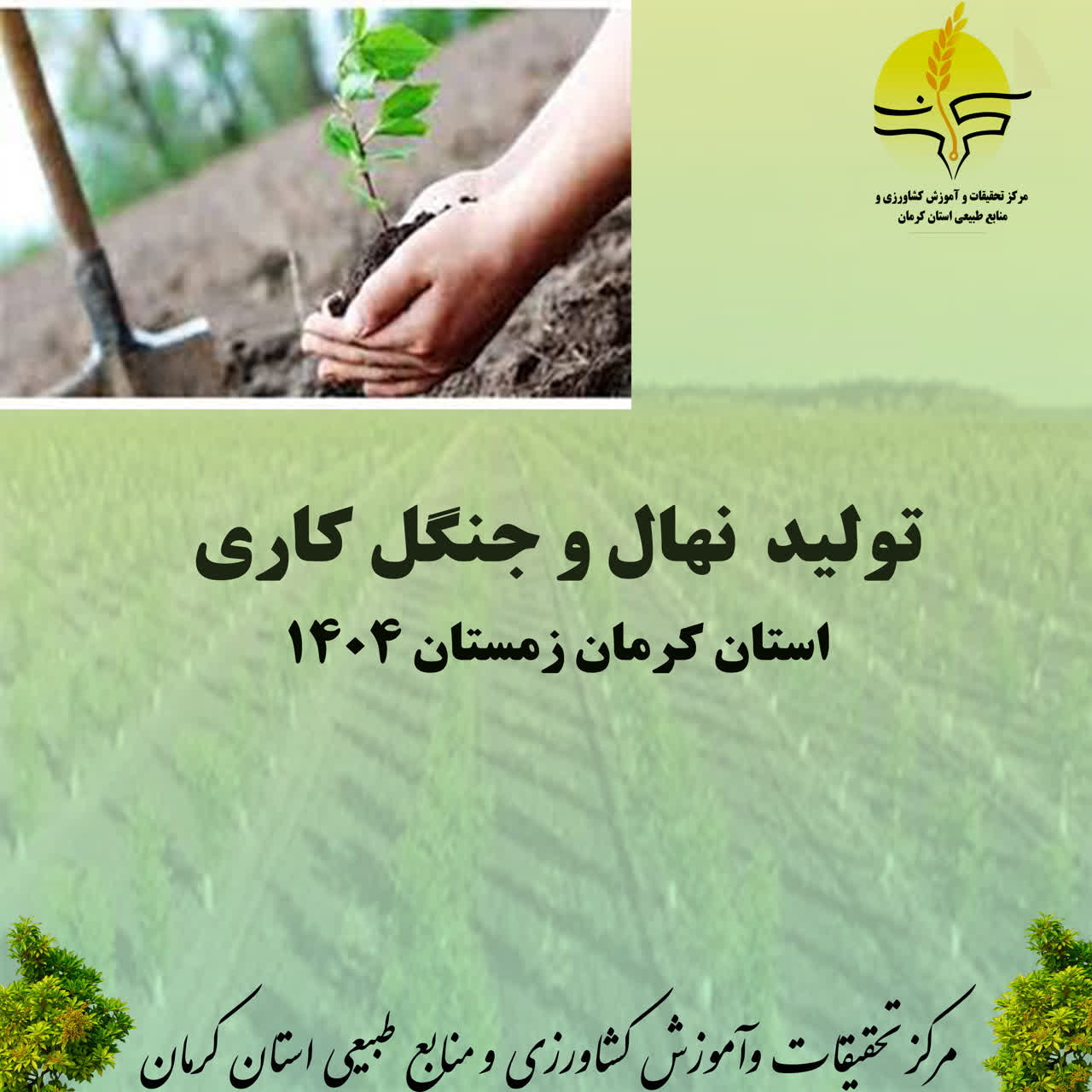 تولید نهال وجنگل کاری (زمستان 1404)