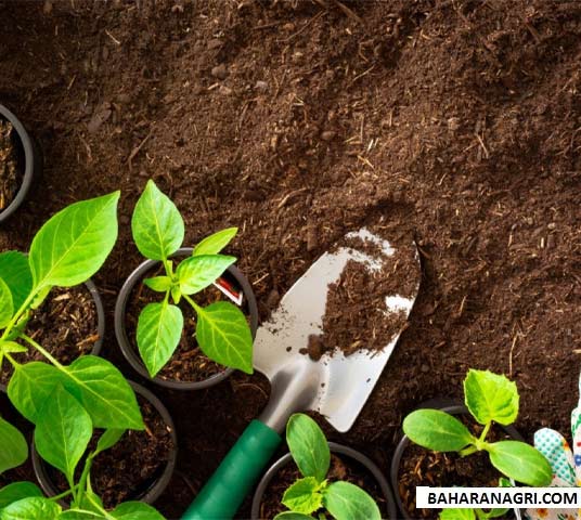 باغبانی عمومی نوع 1 - فضای سبز - اراک - پاییز 1404