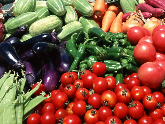 تولید و پرورش گیاهان جالیزی(تولید و پرورش توت فرنگی زمستان 1404 دزفول)