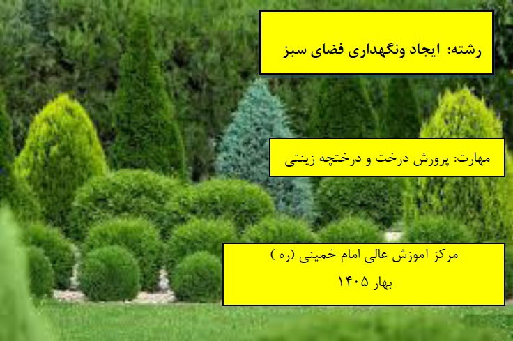 پرورش درخت و درختچه های زینتی مرکز امام خمینی(ره) بهار 1405