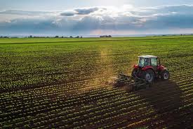 زراعت عمومی  خرم آبادپاییز 001