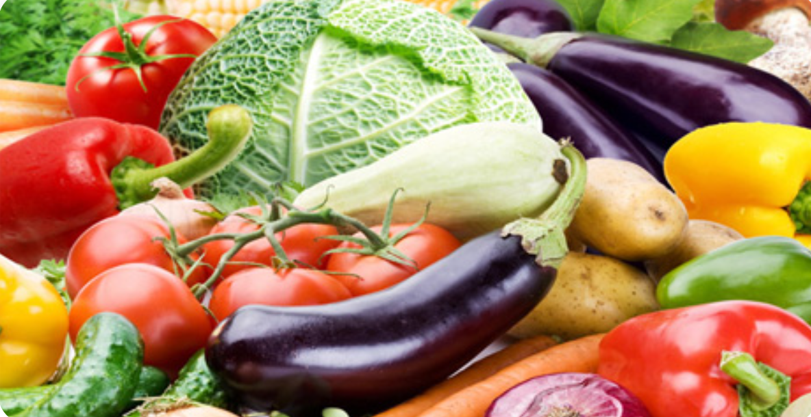 پرورش قارچ خوراکی (تولید و پرورش جالیز) خراسان شمالی پاییز 1404