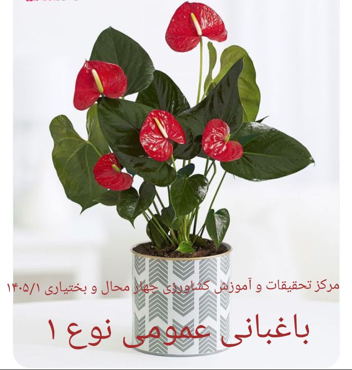 باغبانی عمومی نوع 1- شهرکرد 1405/1