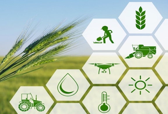 زراعت عمومی زمستان 1404 قزوین