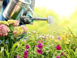 باغبانی عمومی نوع 1.مشهد.پاییز 1404.خراسان رضوی(آزمون مجدد)