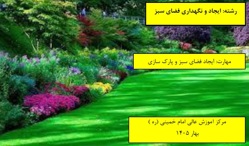 ایجاد فضای سبز و پارک سازی مرکز امام خمینی(ره) بهار 1405