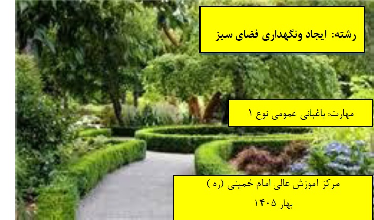 باغبانی عمومی نوع1فضای سبز مرکز امام خمینی(ره) بهار 1405