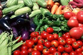 تولید و پرورش جالیز نیشابور،زمستان 1404.خراسان رضوی