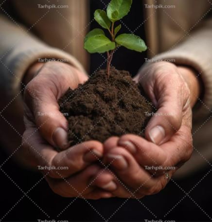 تولید و پرورش گل و گیاهان زینتی (باغبانی عمومی نوع I) خراسان شمالی بهار 1405