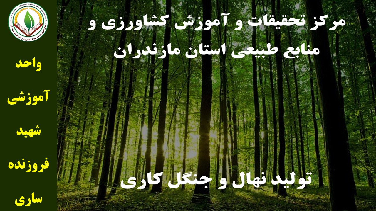 م.تولید نهال - قائم شهر -پاییز04