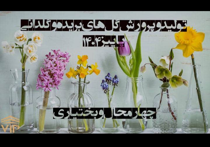 تولید و پرورش گلهای بریده و گلدانی-شهرکرد1404/3