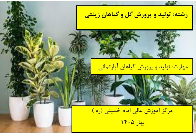 تولید و پرورش گیاهان آپارتمانی مرکز امام خمینی(ره) بهار 1405