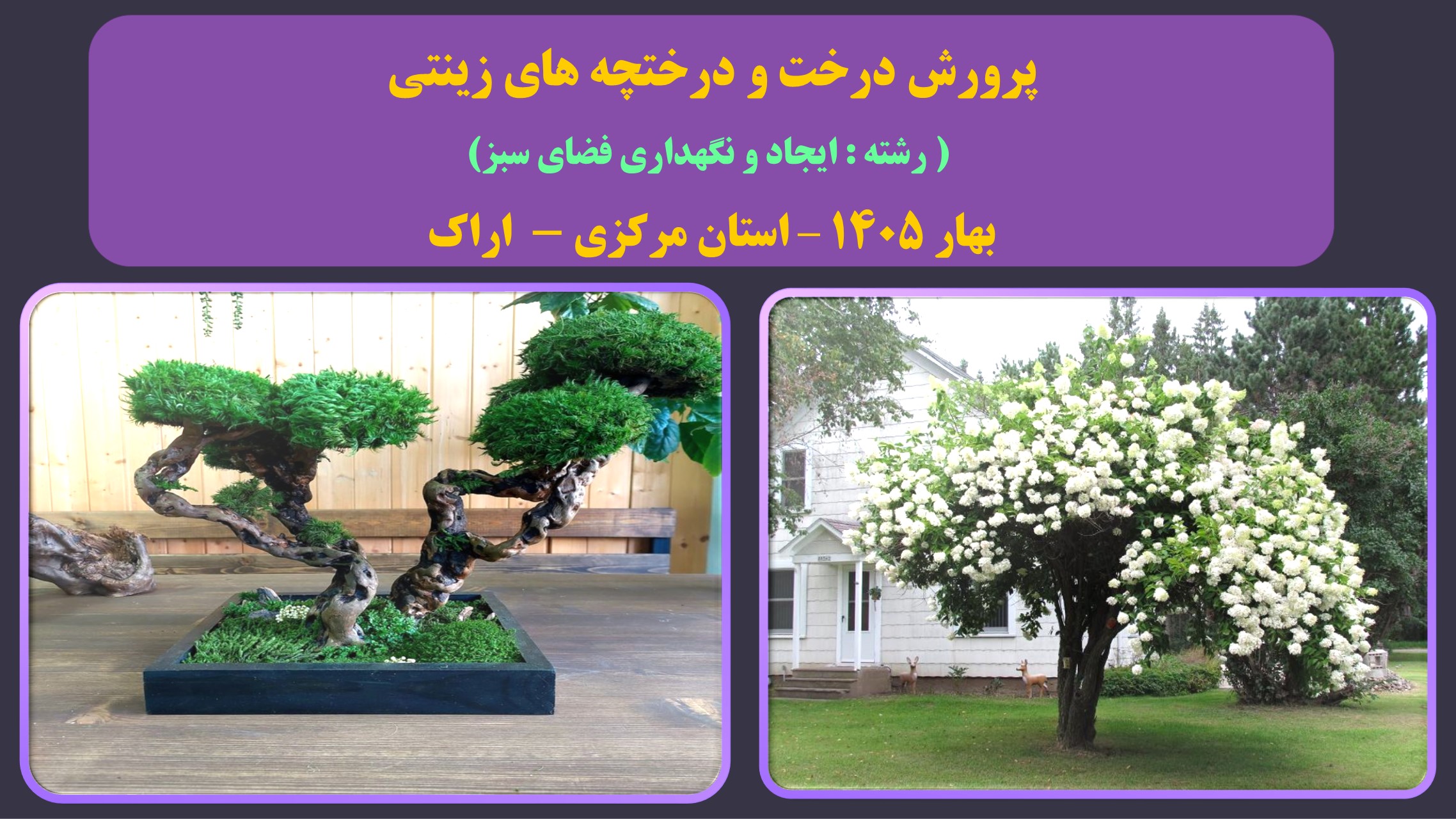 پرورشدرخت و درختچه های زینتی - بهار 1405 - اراک