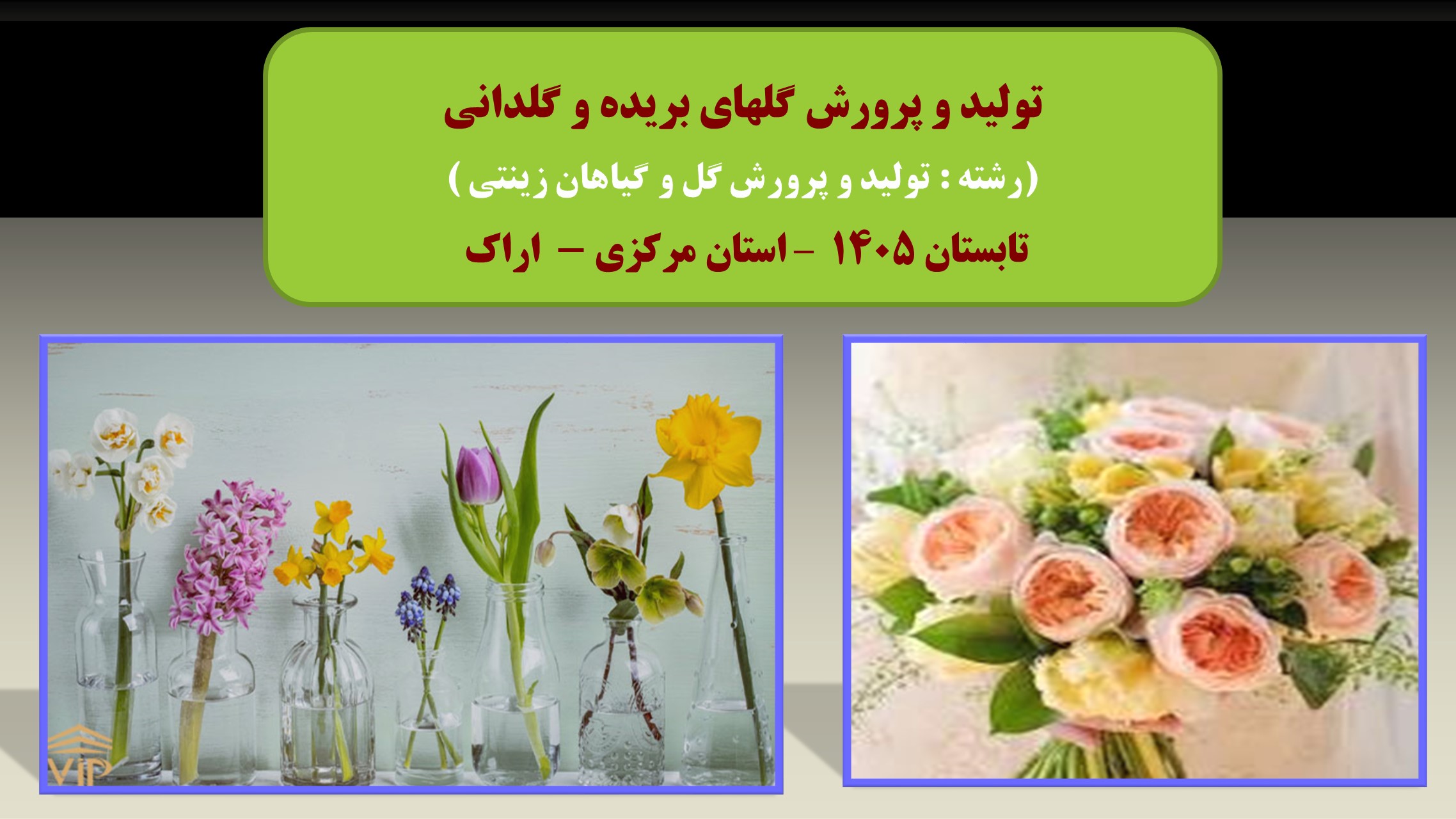 تولید و پرورش گلهای بریده و گلدانی -تابستان 1405 - اراک