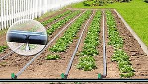 کاربر سیستم های آبیاری تحت فشار 2 مرکز امام خمینی(ره) پاییز 1404