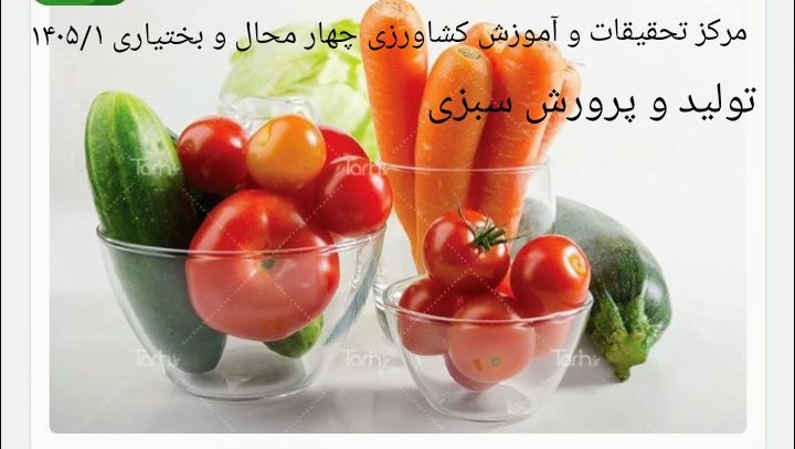 تولید و پرورش سبزی-شهرکرد 1405/1