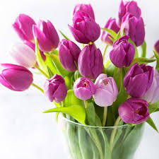 تولید و پرورش گلهای بریده و گلدانی قم-گروه 2 پاییز 1404