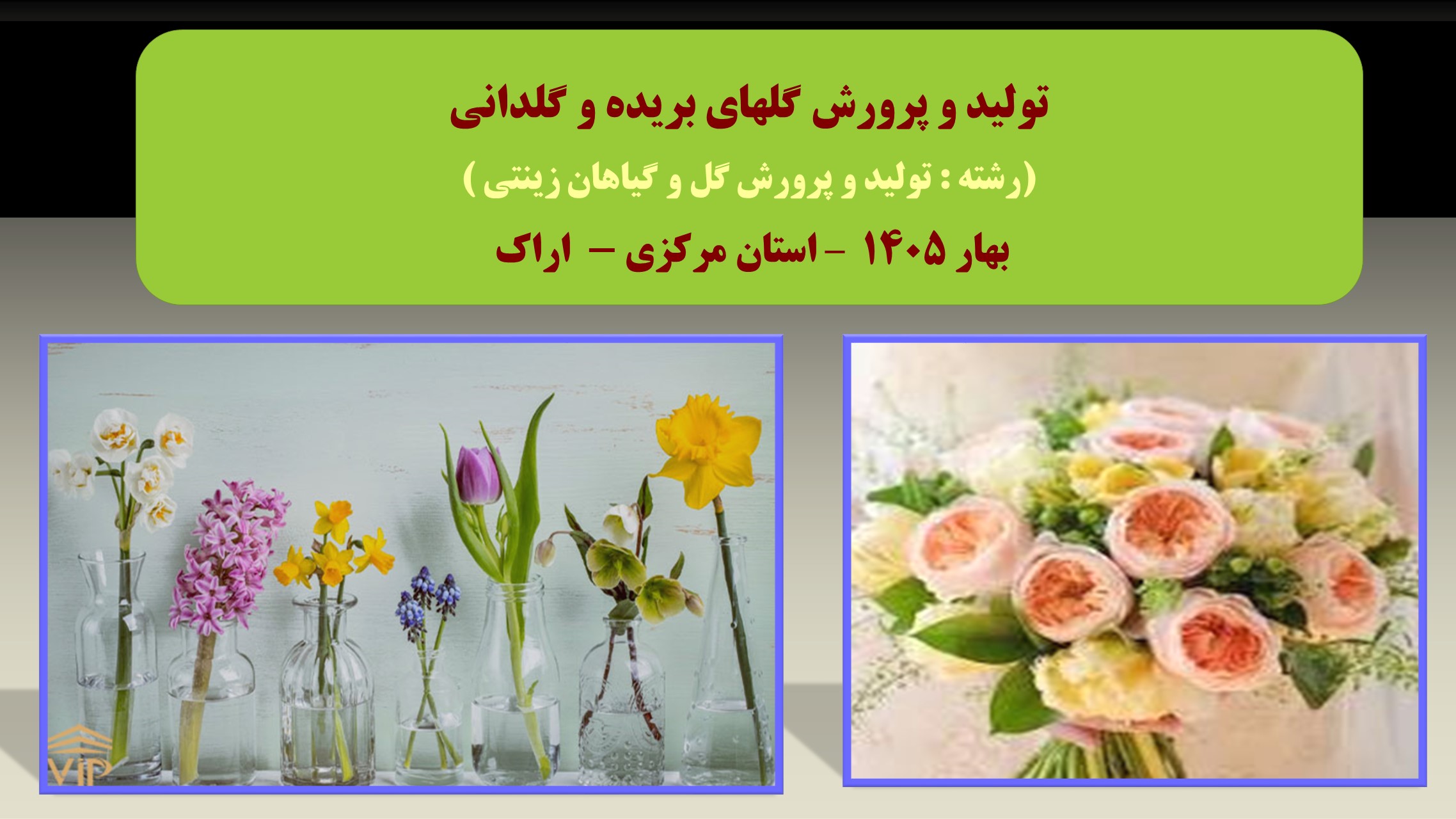 تولید و پرورش گلهای بریده و گلدانی -بهار 1405 - اراک