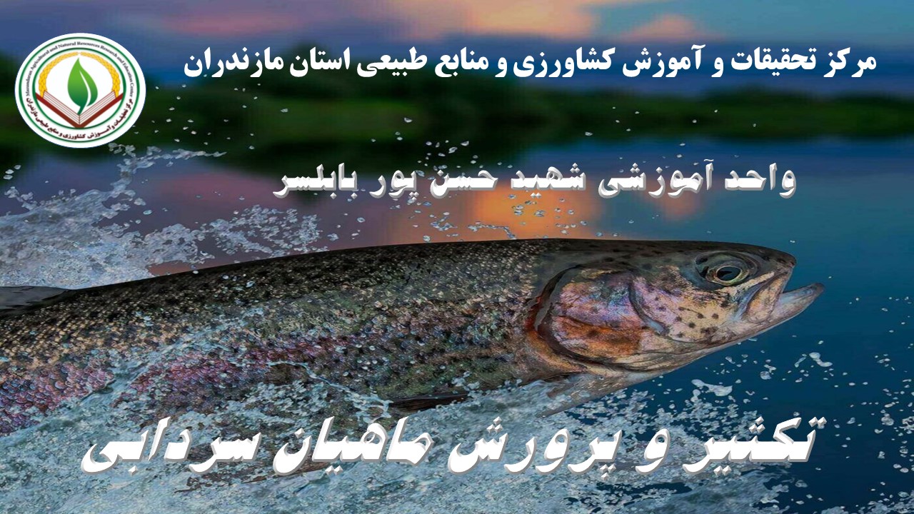 تکثیر پرورش ماهیان سردآبی (آمل) - بهار 1405
