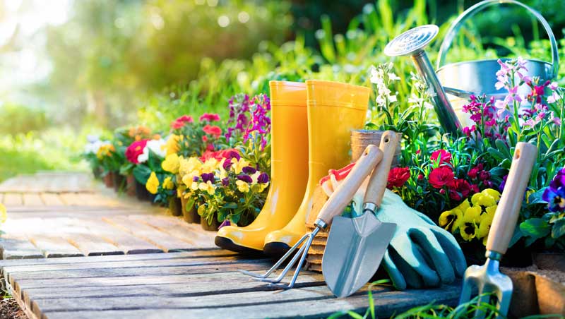 باغبانی عمومی نوع 1 - گل و گیاهان زینتی - اراک - پاییز 1404