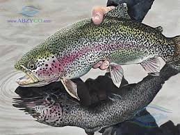 تکنولوژی تکثیر و پرورش ماهیان سردابی مرکز امام خمینی(ره) پاییز 1404