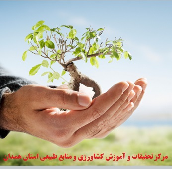 تولید نهال و جنگلکاری تابستان 1405 همدان