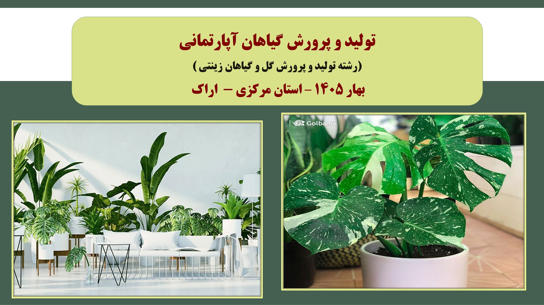 تولید و پرورش گیاهان آپارتمانی - بهار 1405 - اراک