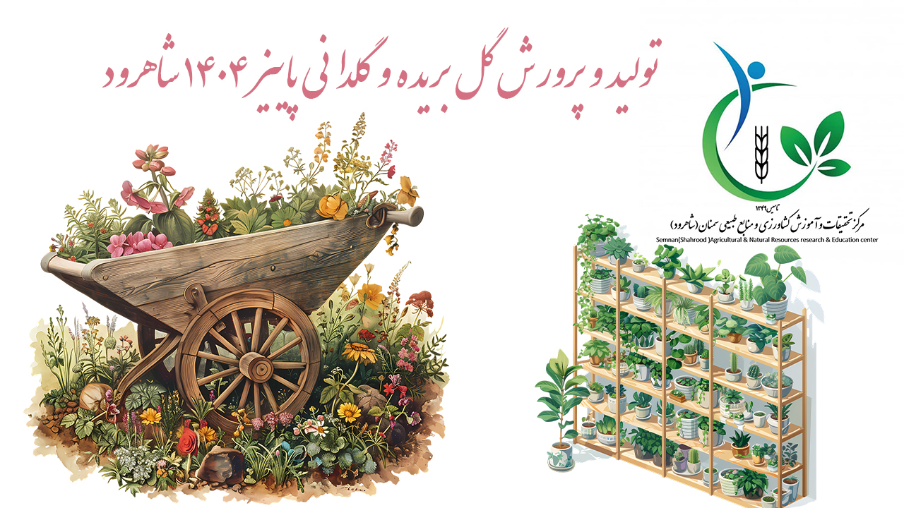 تولید و پرورش گل بریده و گلدانی پاییز 1404 شاهرود