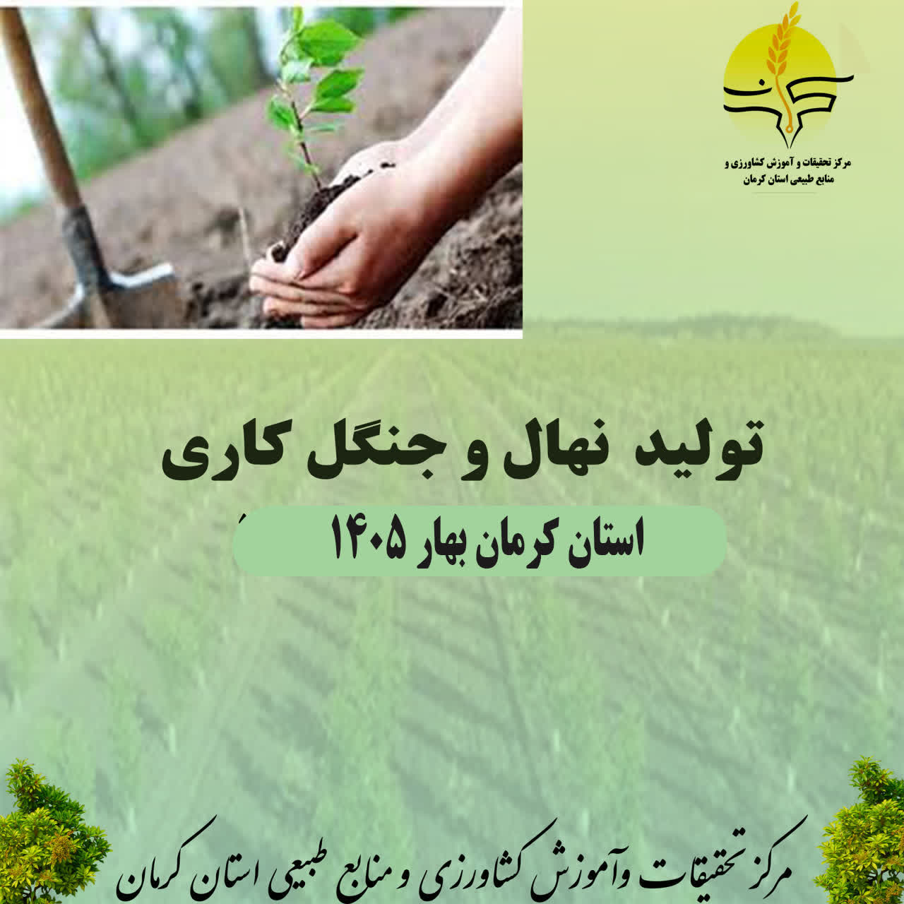 تولید نهال وجنگل کاری (بهار 1405)