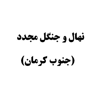نهال و جنگل مجدد بهار1405