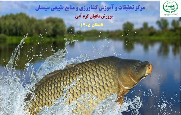 پرورش ماهیان گرم آبی- (سیستان) تابستان  1405