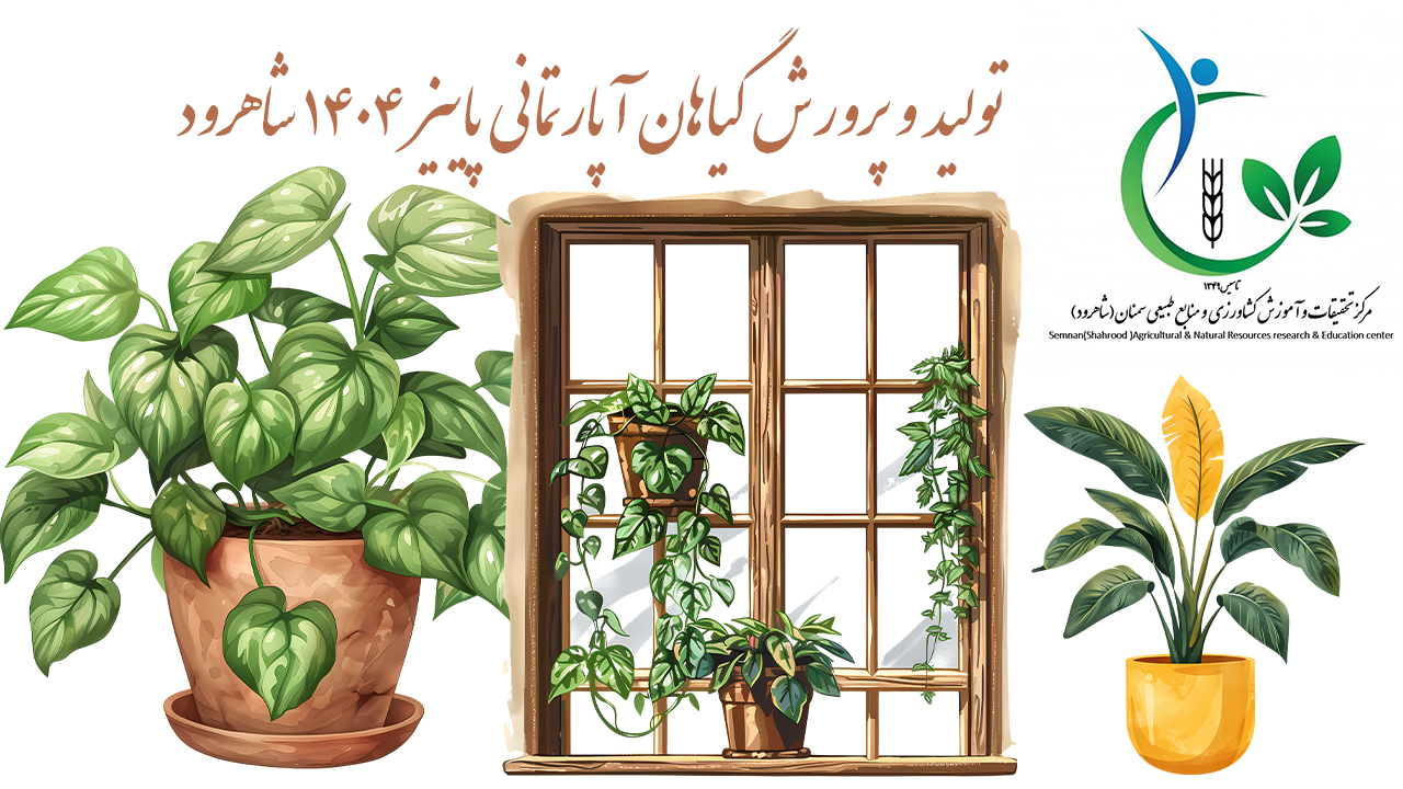 تولید و پرورش گیاهان آپارتمانی پاییز 1404 شاهرود