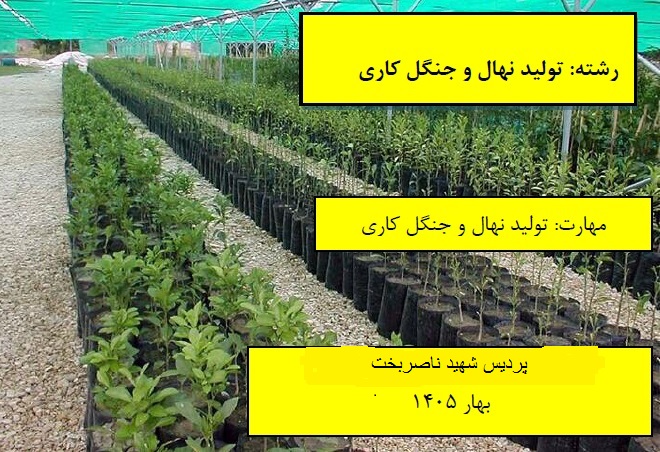 تولید نهال و جنگل کاری پردیس شهید ناصربخت بهار 1405