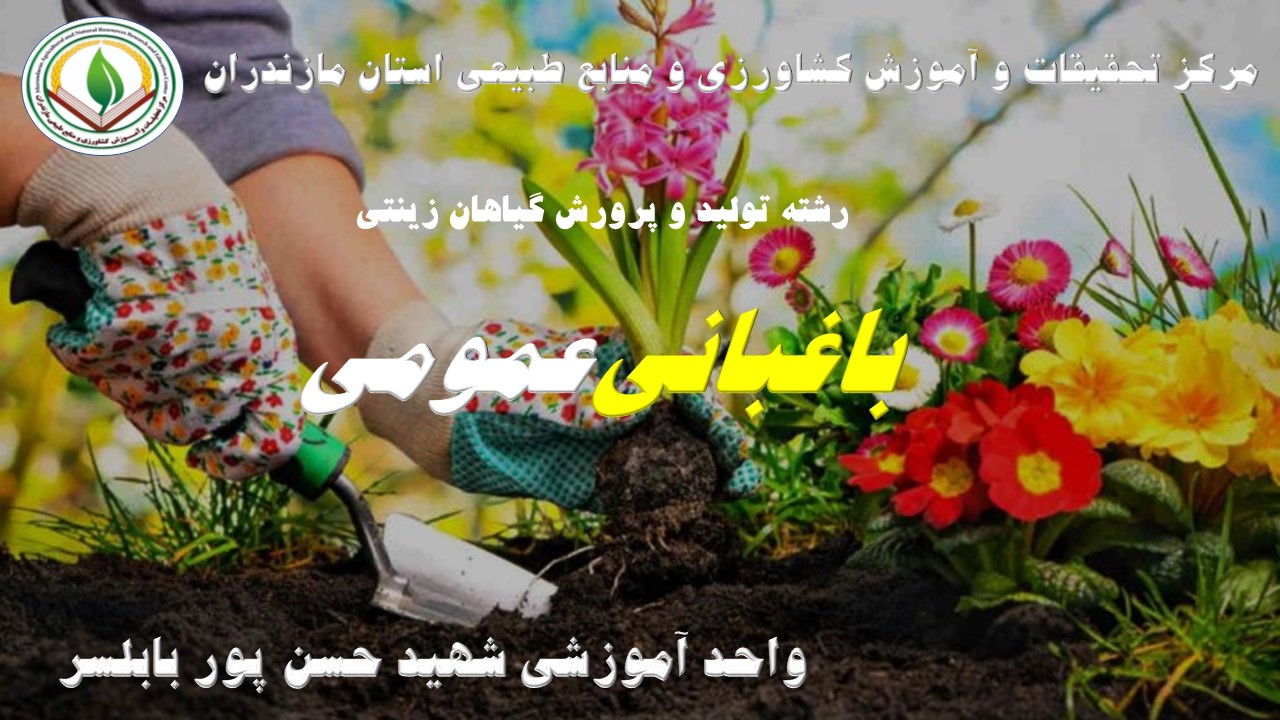 باغبانی عمومی ( گیاهان زینتی) بابلسر- بهار 1405
