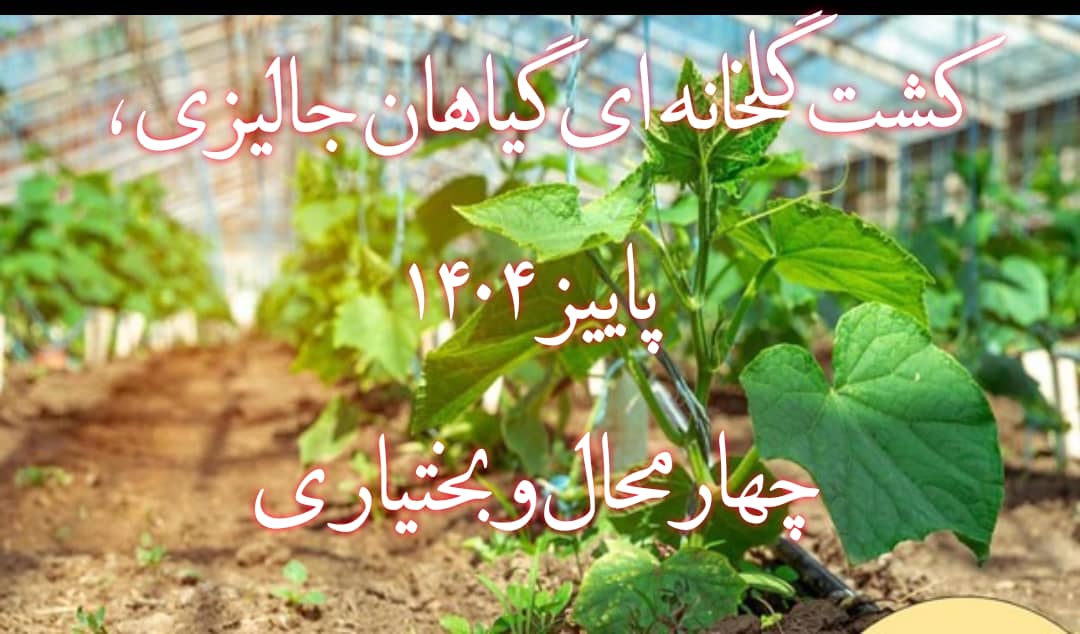 کشت گلخانه ای گیاهان جالیزی-شهرکرد 1404/3