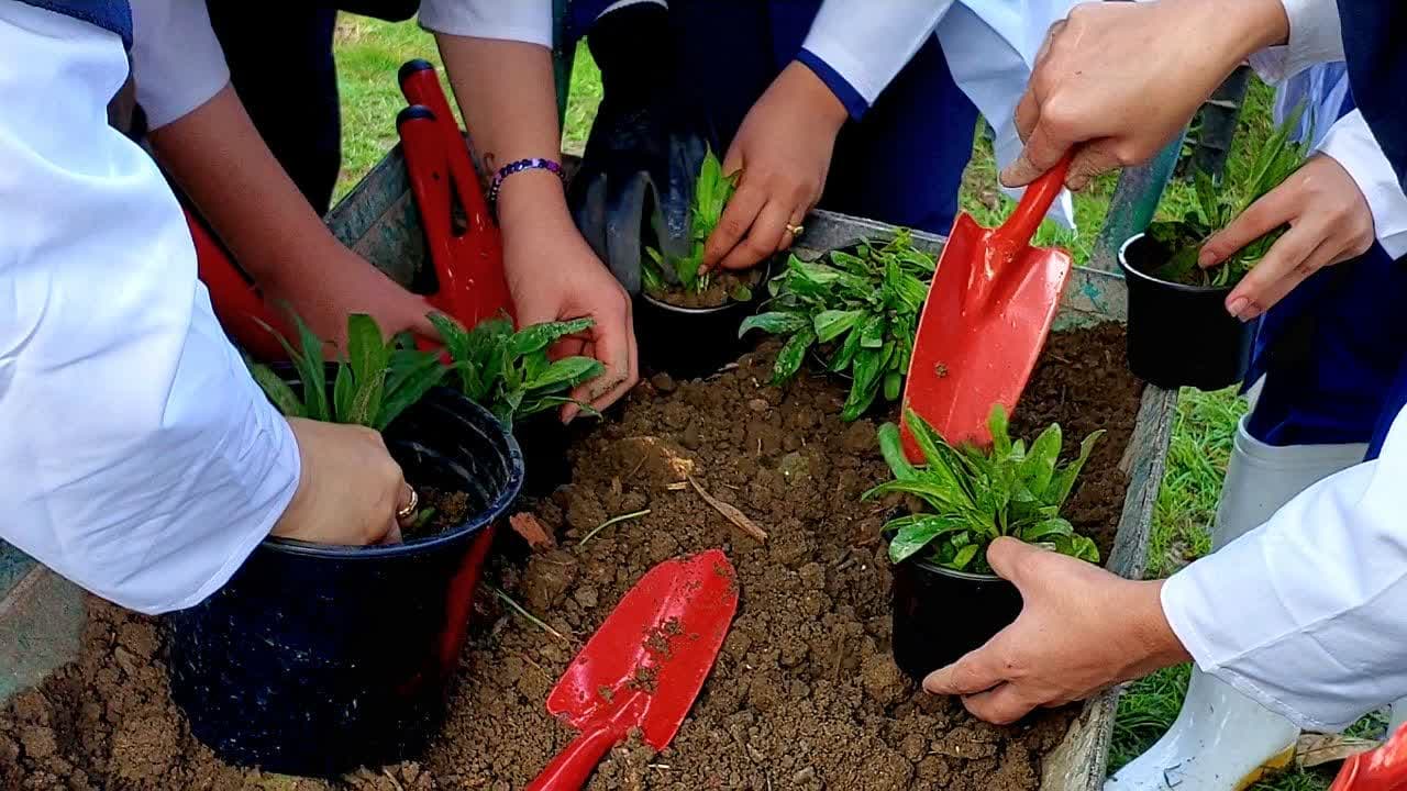 تولید و پرورش گل های بریده و گلدانی گرگان بهار 1405