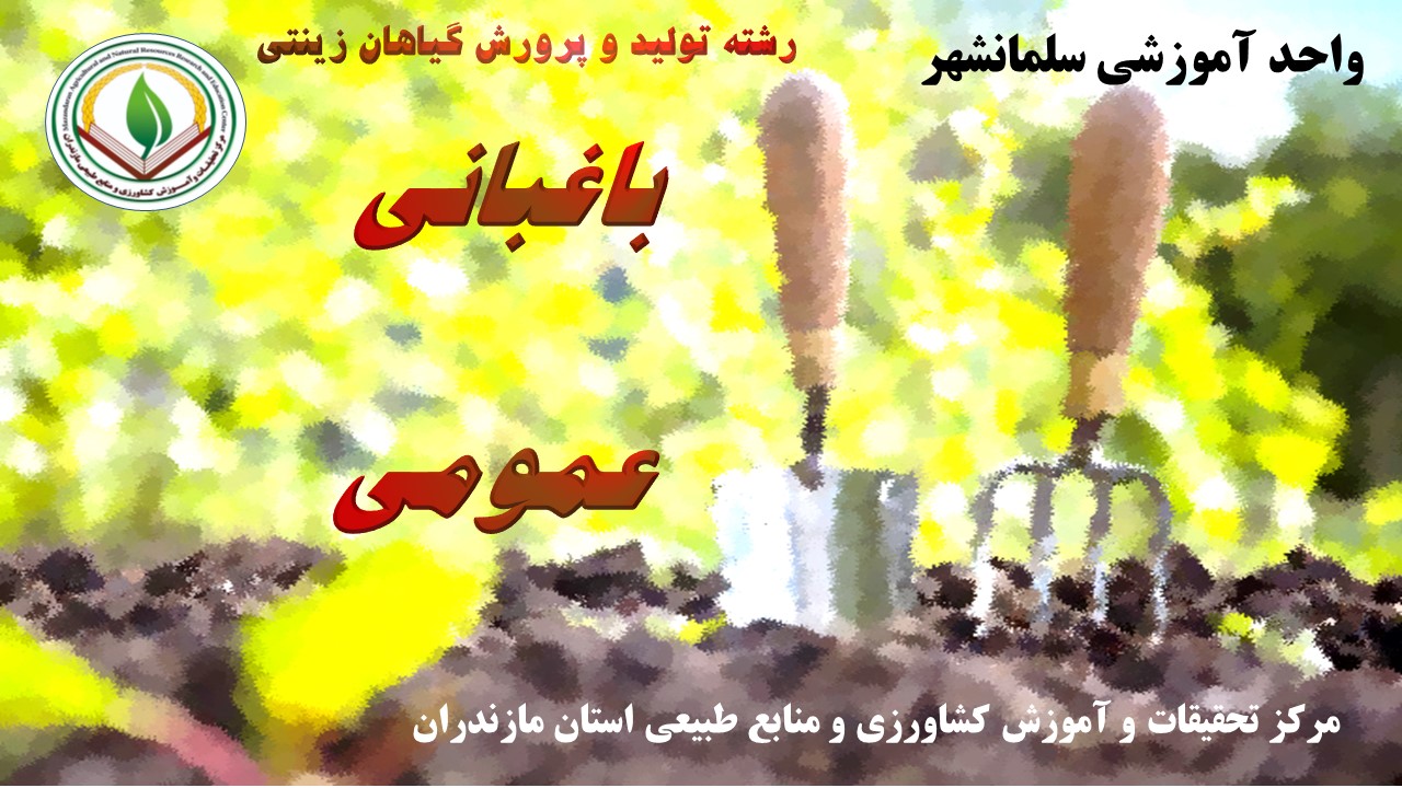 م - باغبانی - سلمانشهر بهار 1405(زینتی)