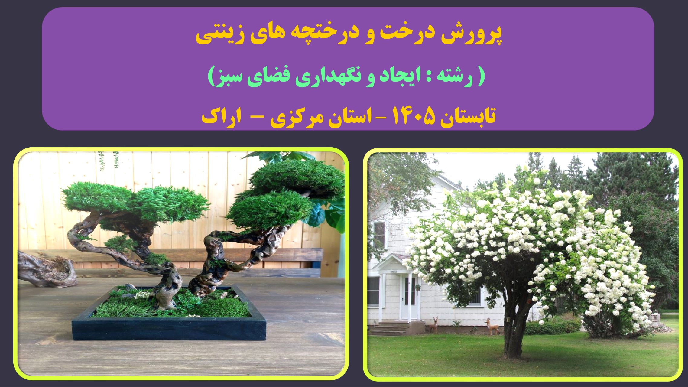 پرورش درخت و درختچه های زینتی - تابستان 1405 - اراک