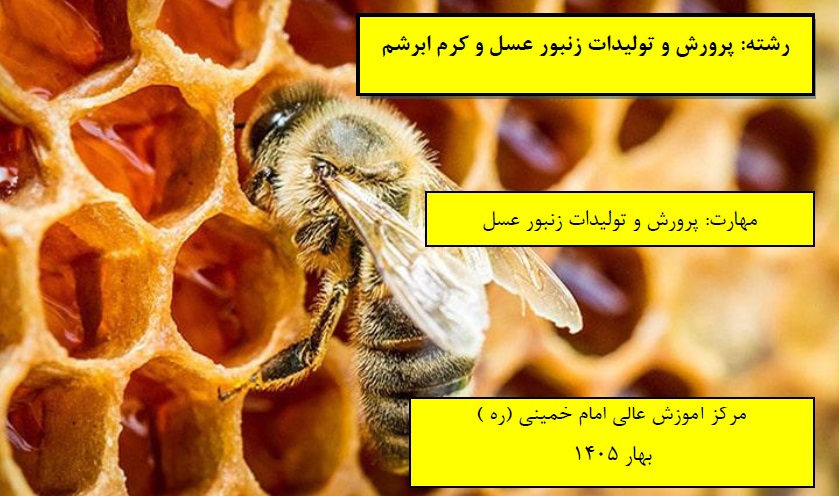 پرورش و تولیدات زنبور عسل مرکز امام خمینی(ره) بهار 1405