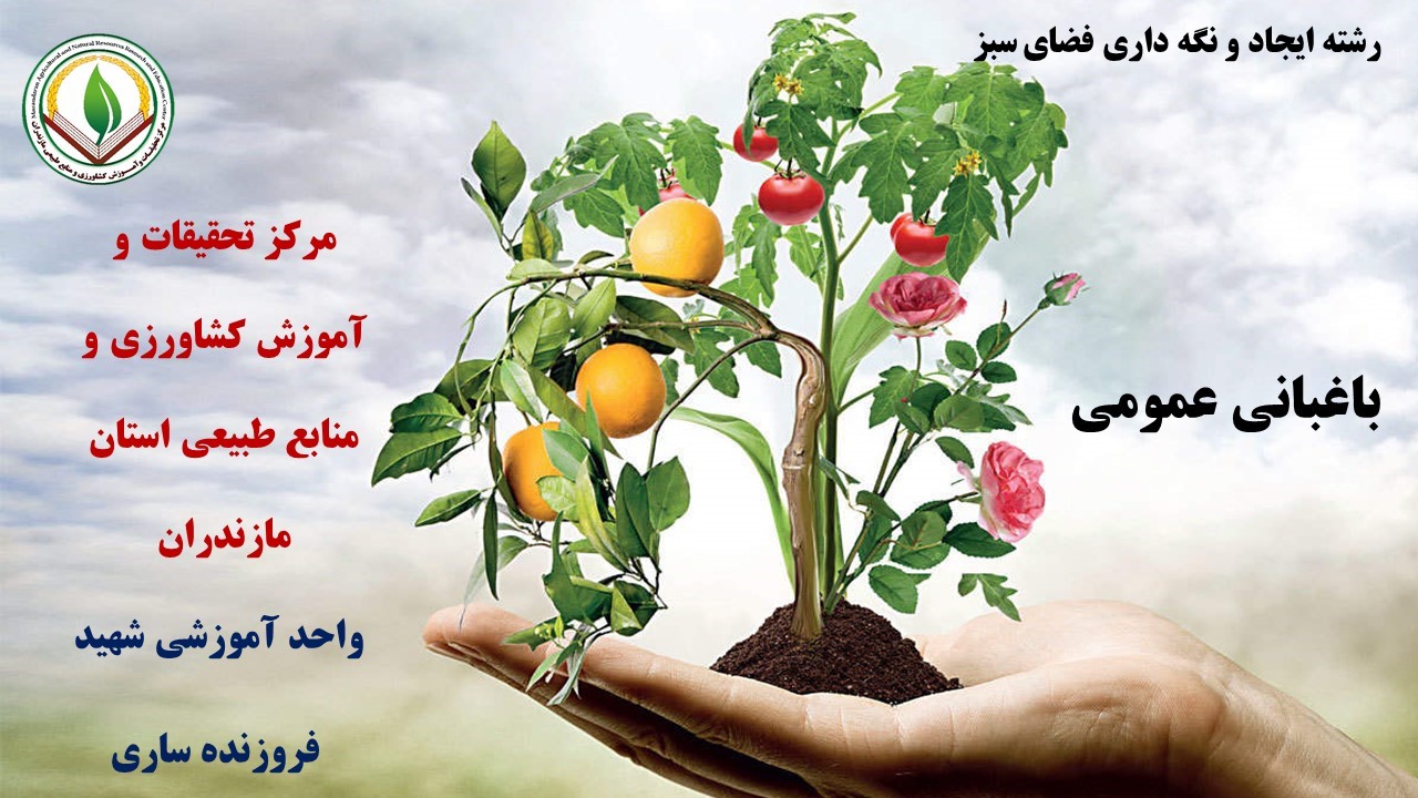 م. باغبانی (فضای سبز) قائمشهر بهار 05