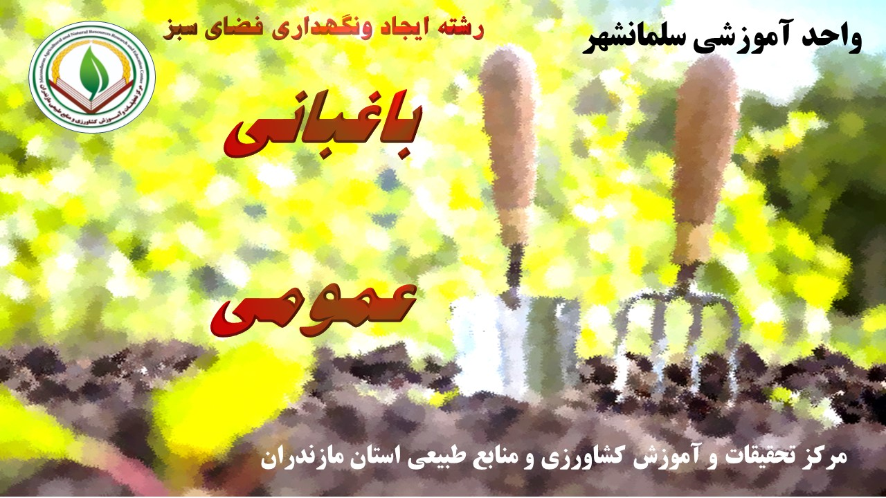 م.باغبانی عمومی (فضای سبز )-رامسر- پاییز 04