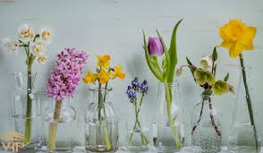 تولید و پرورش گل های بریده و کلدانی..پاییز 1404.خراسان رضوی