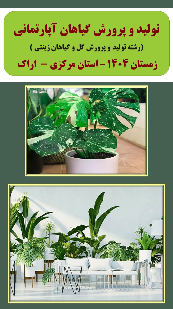 تولید و پرورش گیاهان آپارتمانی - زمستان 1404 - اراک