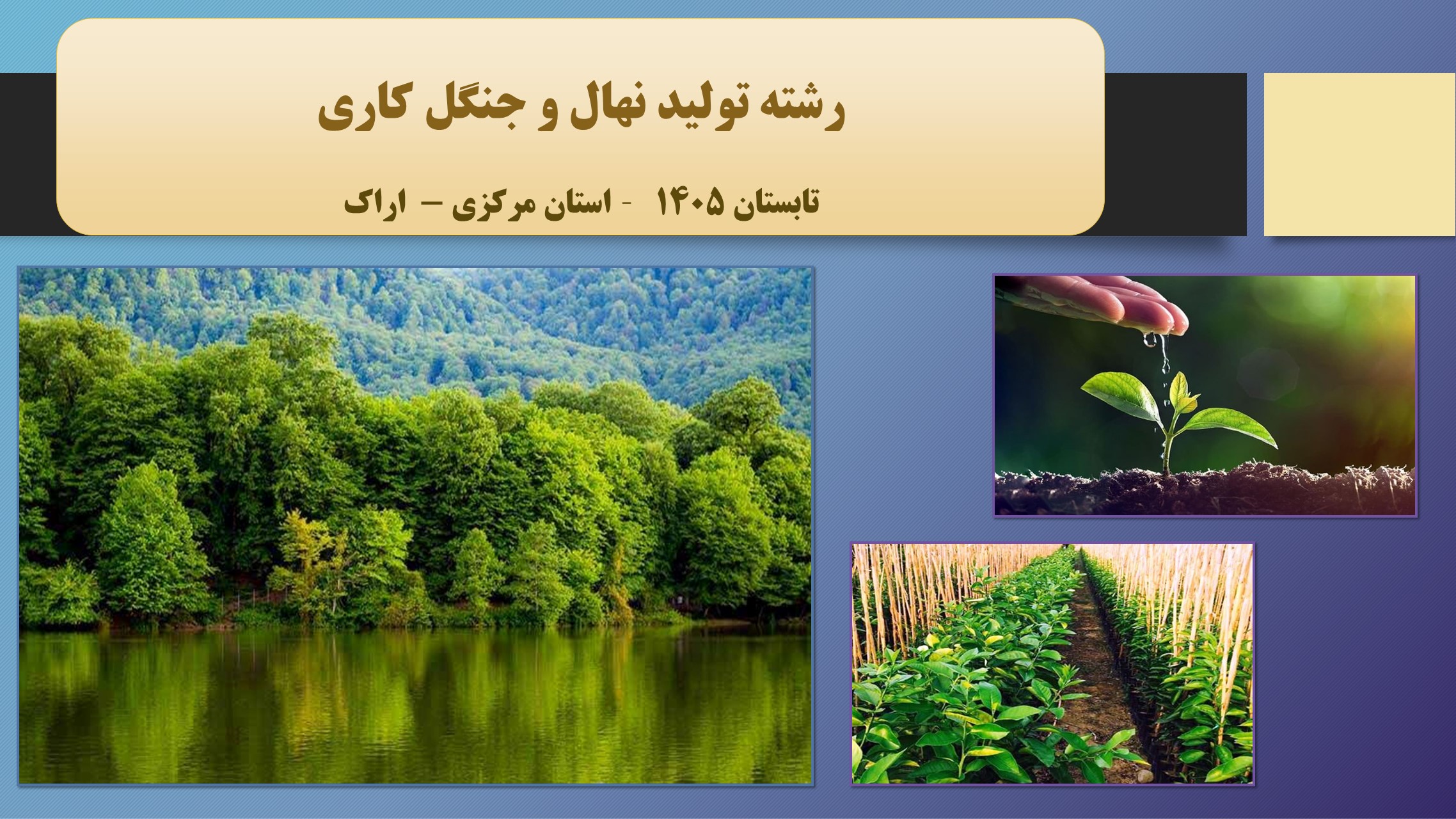 تولید نهال و جنگل کاری - تابستان 1405 - اراک
