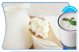 تولید کفیر و کشک مرکز امام خمینی(ره) پاییز 1404