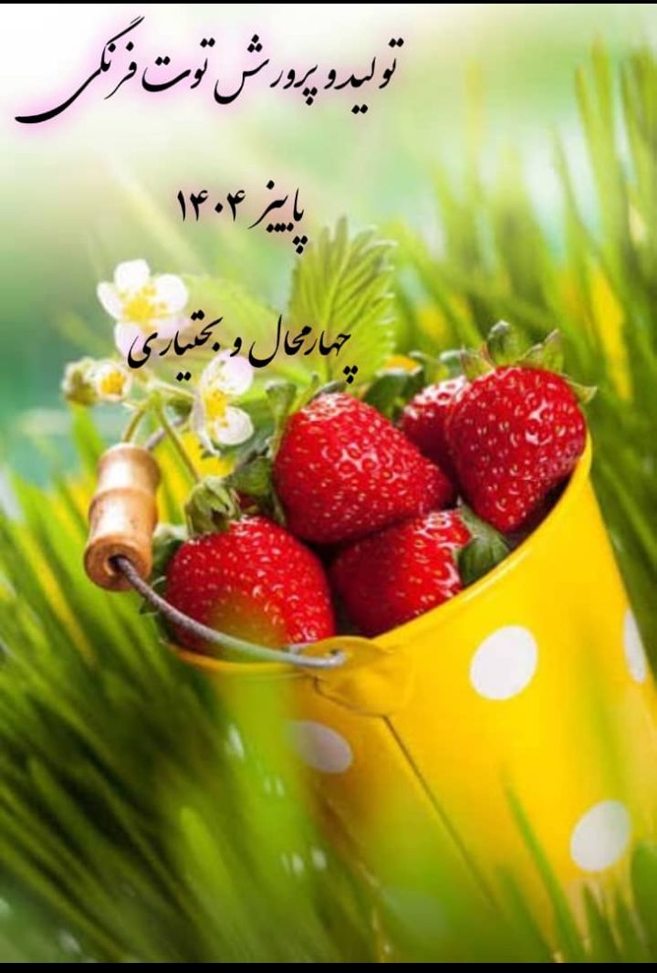 تولید و پرورش توت فرنگی-شهرکرد1404/3