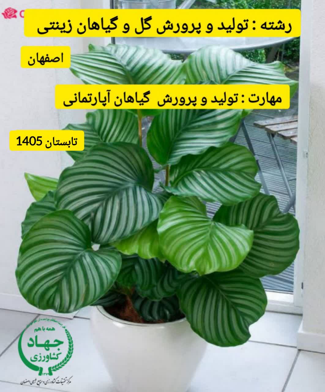 اصفهان - تولید و پرورش گیاهان اپارتمانی تابستان 1405