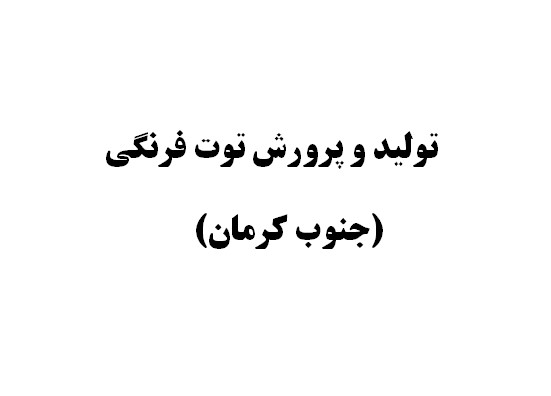 پرورش توت فرنگی بهار1405