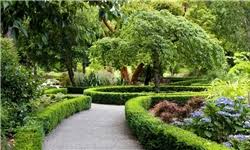 باغبانی عمومی نوع1 فضای سبز مرکز امام خمینی(ره)پاییز 1404