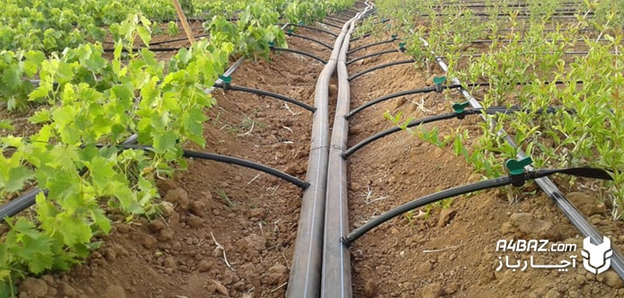 کشت و کار مکانیزه (کاربر سیستمهای آبیاری تحت فشار) خراسان شمالی پاییز 1404